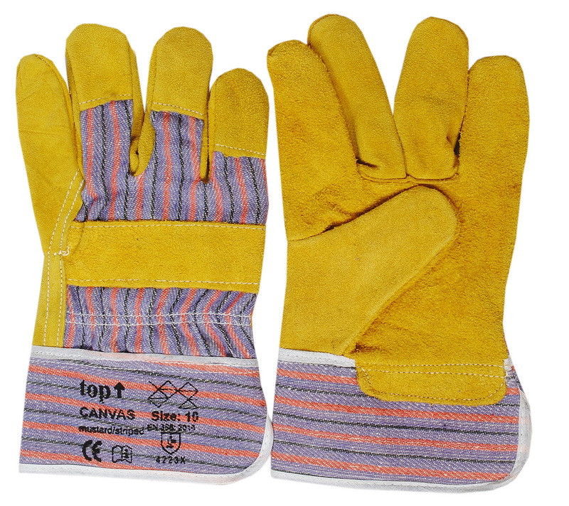 Top Canvas hasított marhabőr kesztyű termék fő termékképe